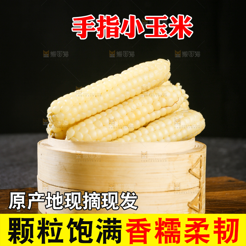 深底上的拇指小玉米