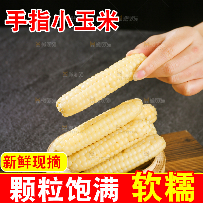 深底上的拇指小玉米