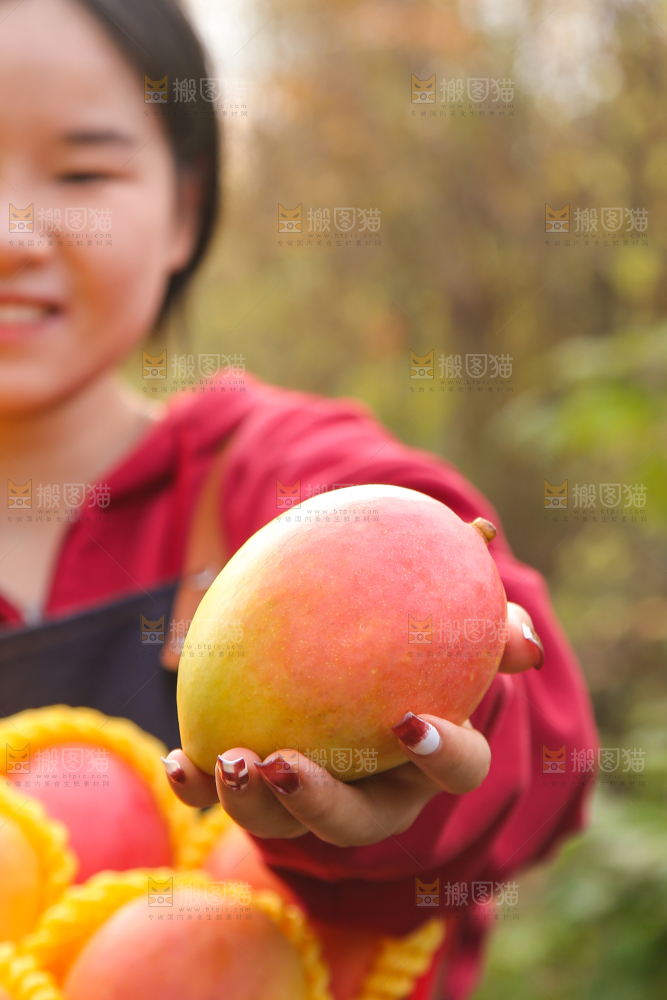 手里拿着新鲜澳芒