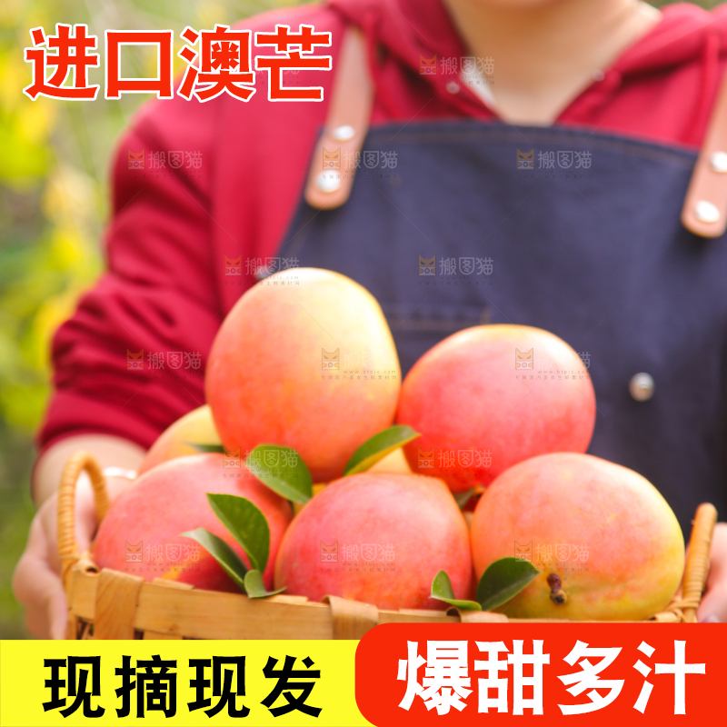 手里拿着新鲜澳芒