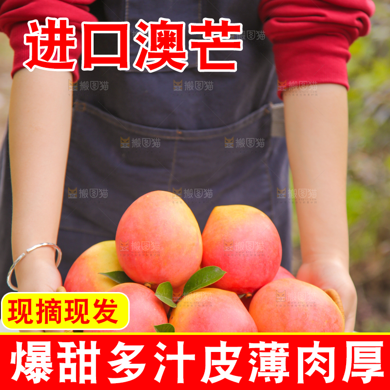 手里拿着新鲜澳芒