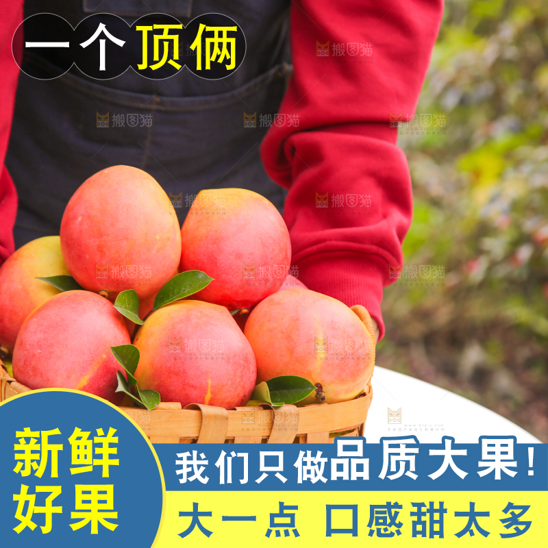 手里拿着新鲜澳芒