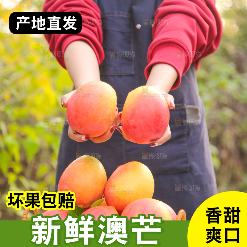 手里拿着新鲜澳芒