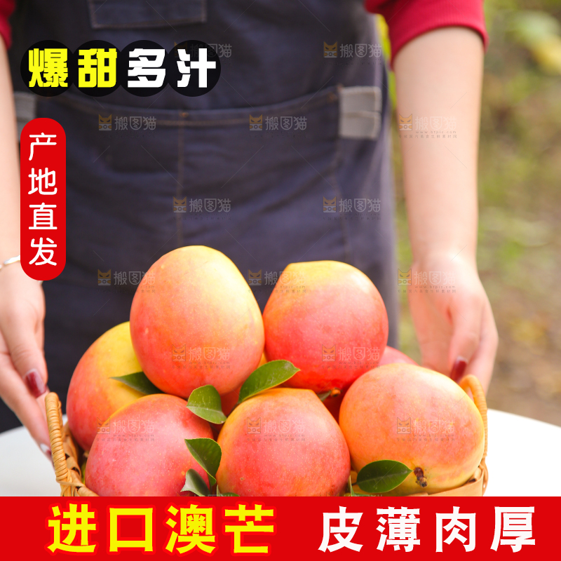 手里拿着新鲜澳芒