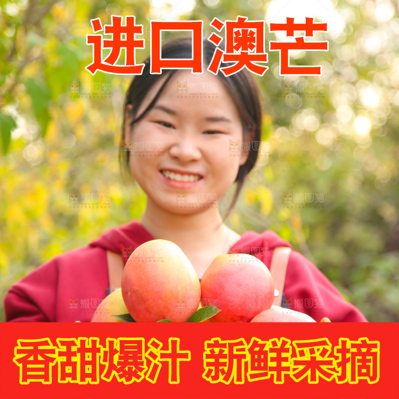 手里拿着新鲜澳芒