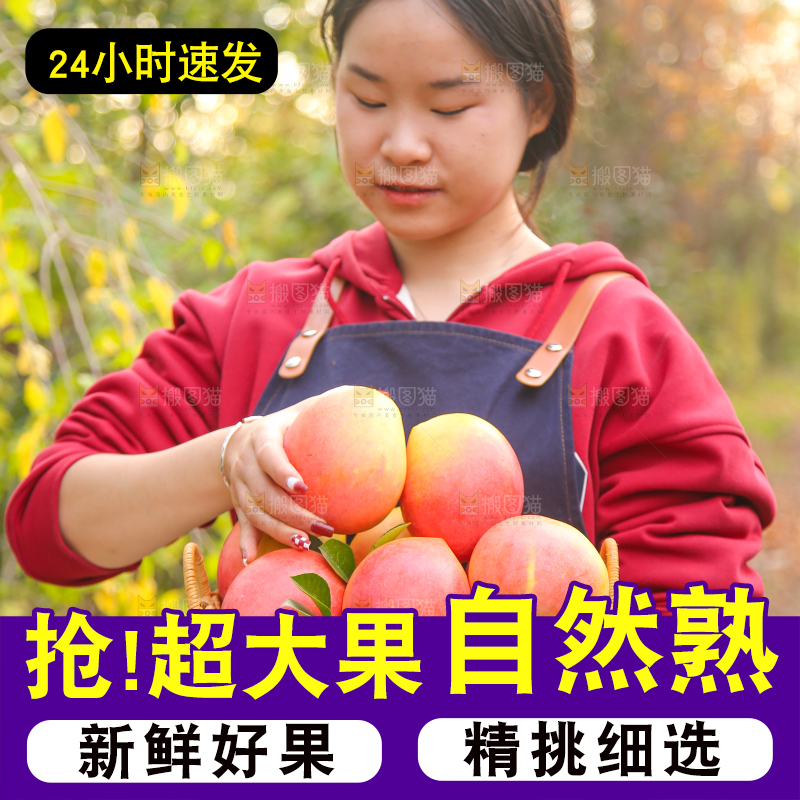 手里拿着新鲜澳芒