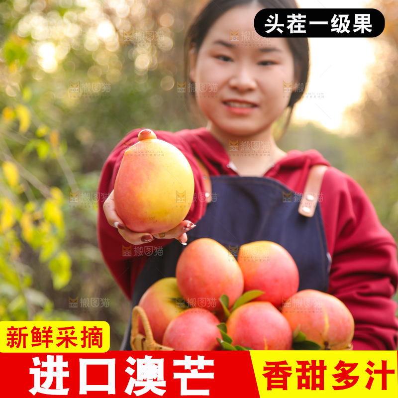手里拿着新鲜澳芒