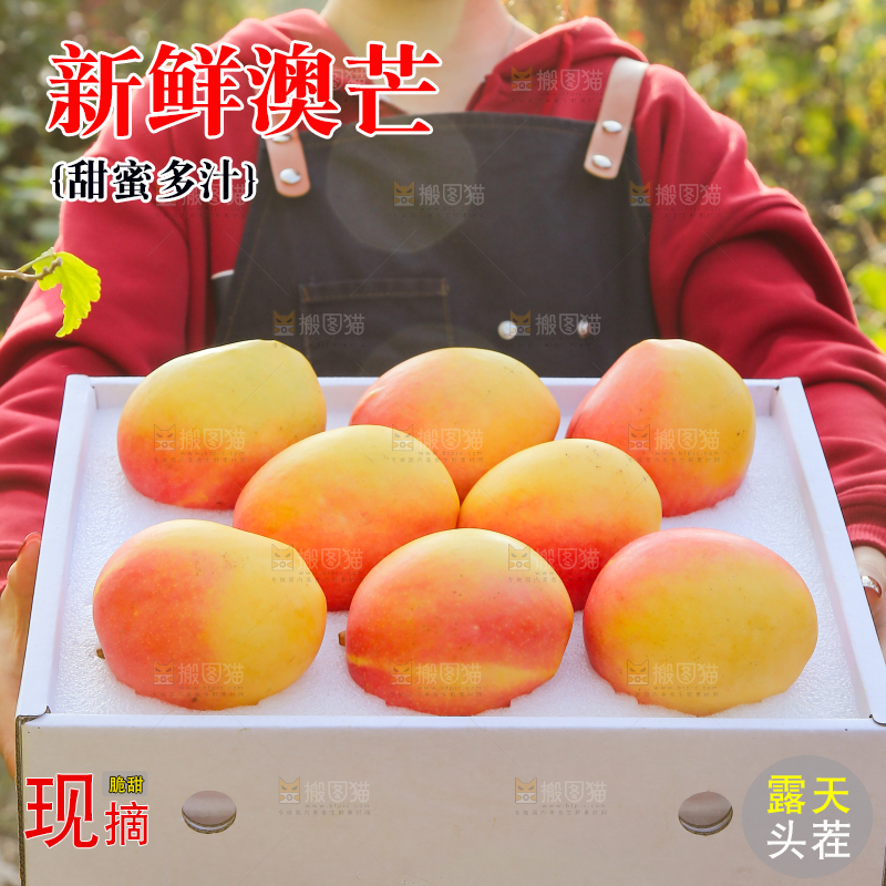 手里拿着新鲜澳芒