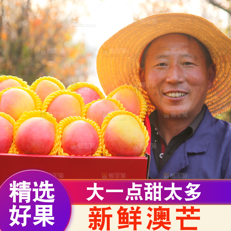 手里拿着新鲜澳芒