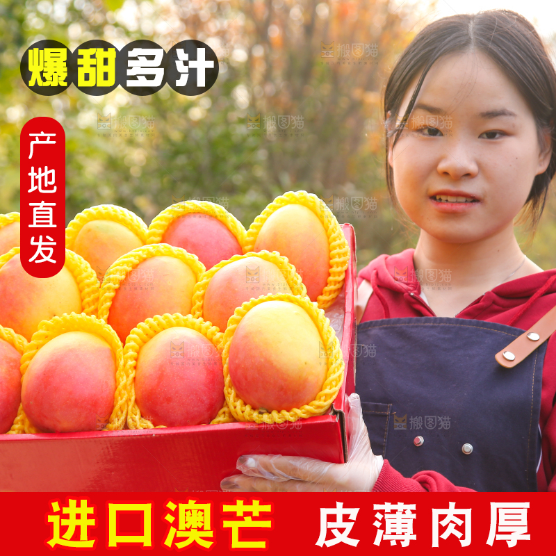 手里拿着新鲜澳芒