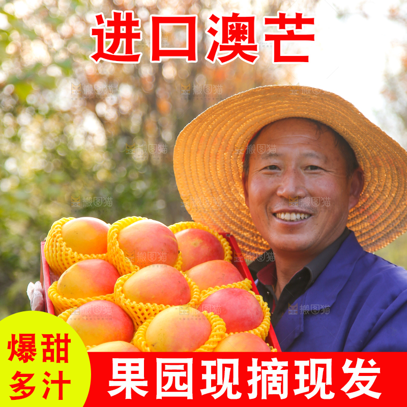 手里拿着新鲜澳芒