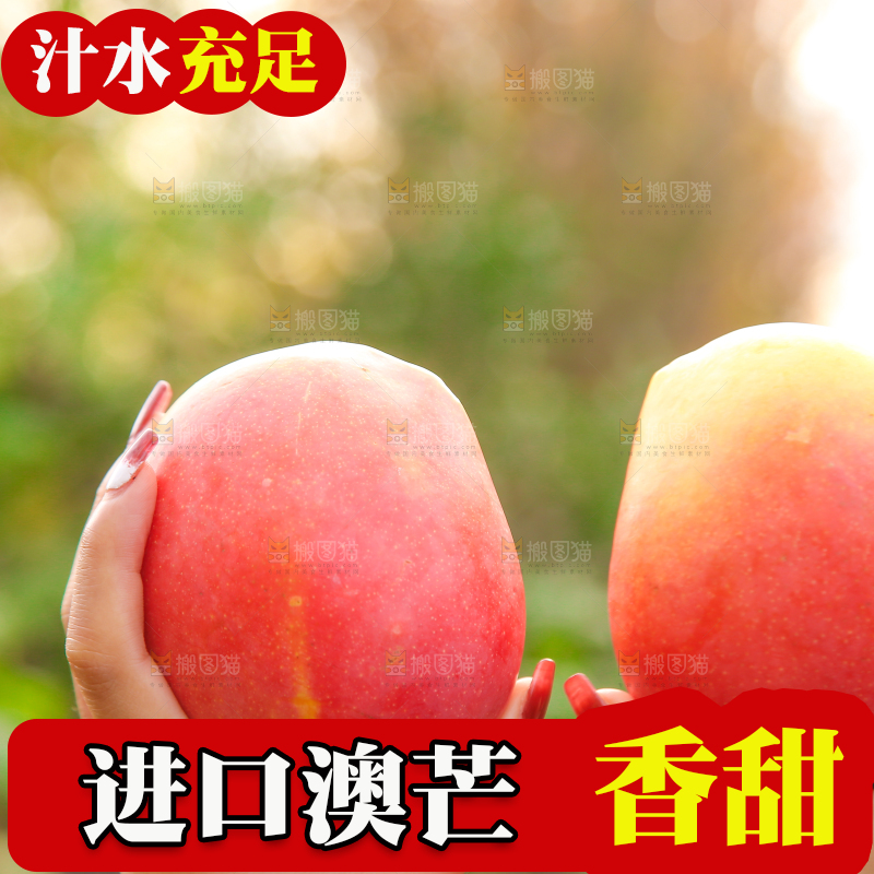 手里拿着新鲜澳芒