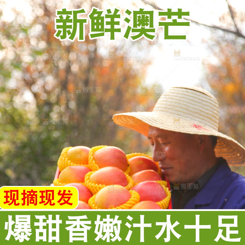 手里拿着新鲜澳芒