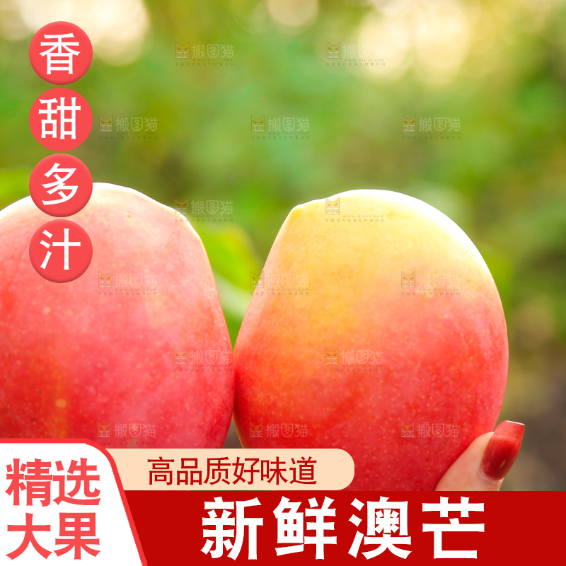 手里拿着新鲜澳芒