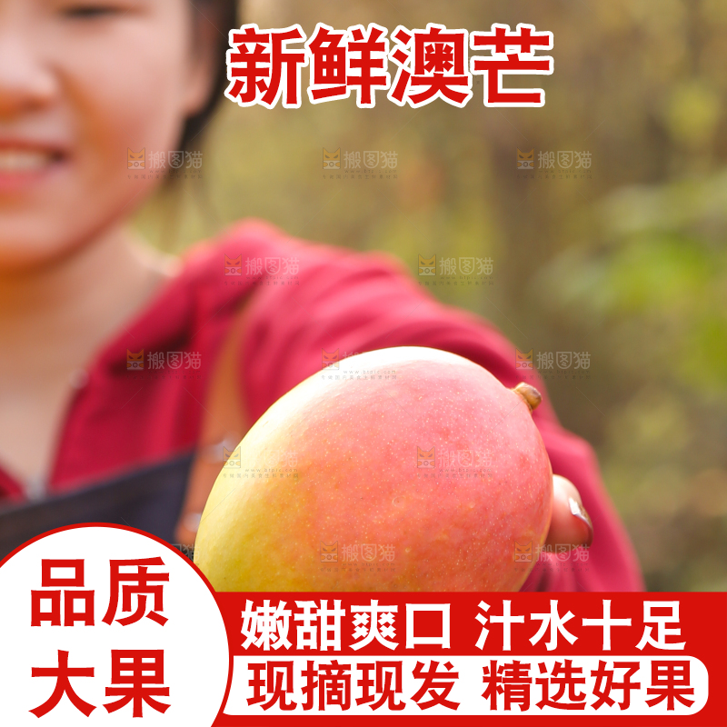 手里拿着新鲜澳芒