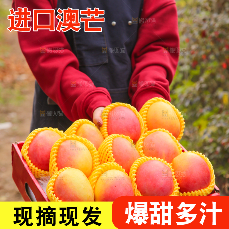 手里拿着新鲜澳芒