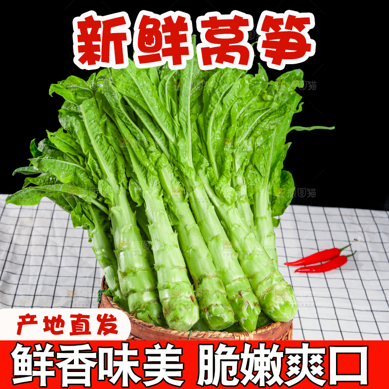 浅底上的莴笋