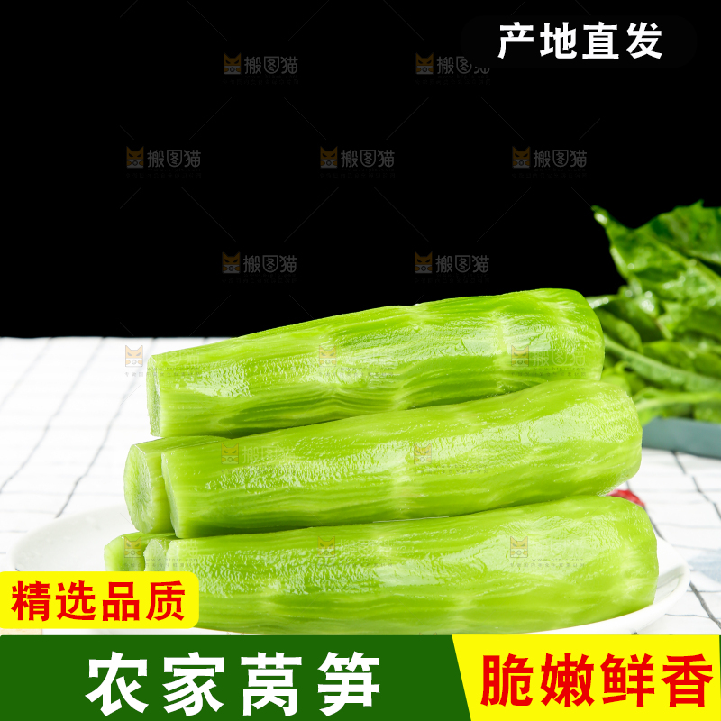 浅底上的莴笋
