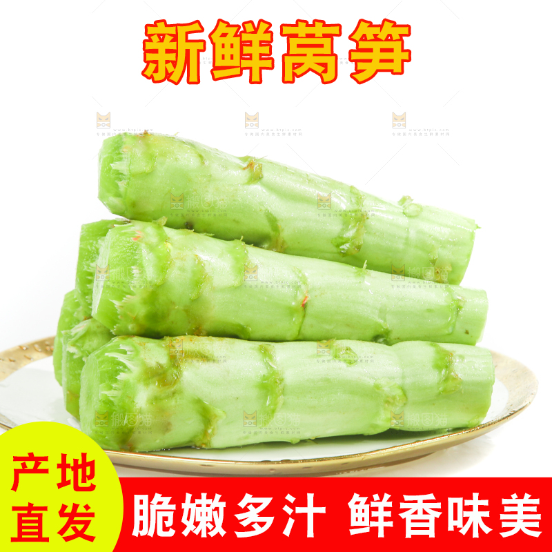 白底上的新鲜莴笋