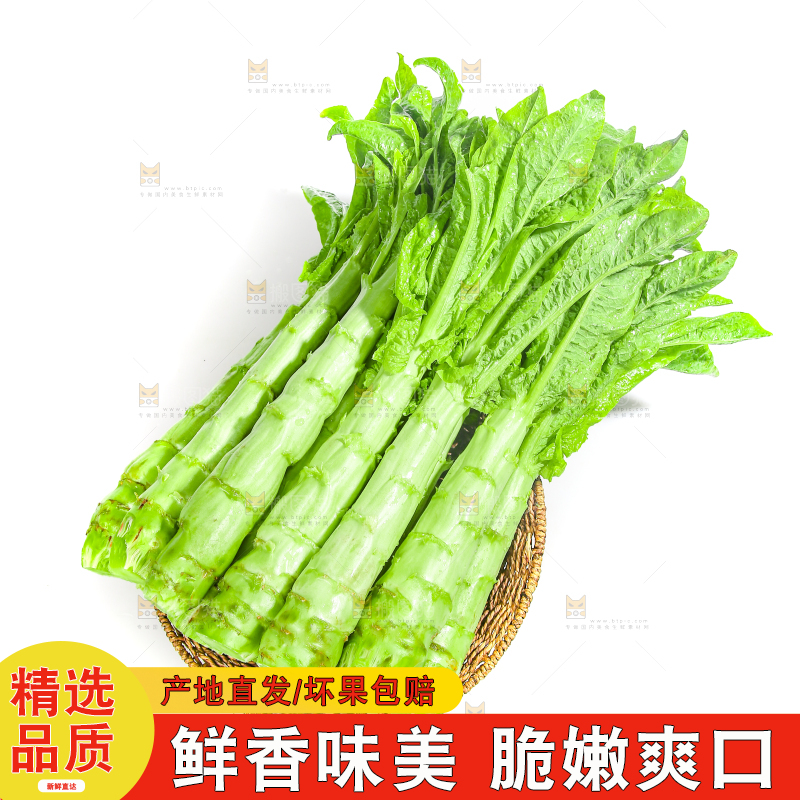 白底上的新鲜莴笋