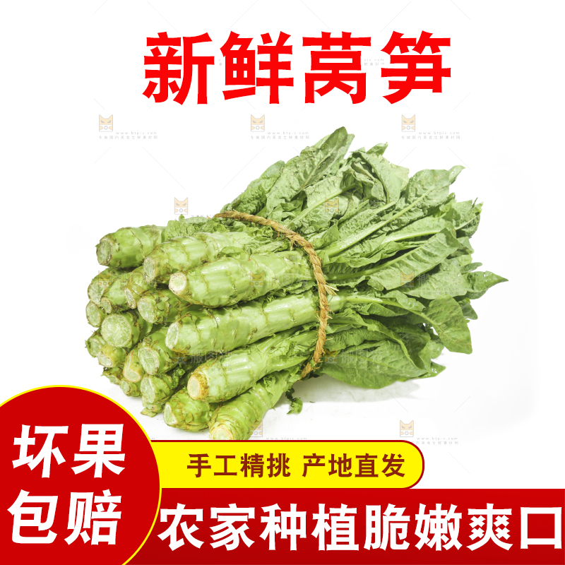 白底上的新鲜莴笋