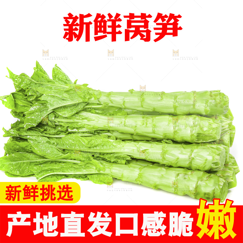 白底上的新鲜莴笋