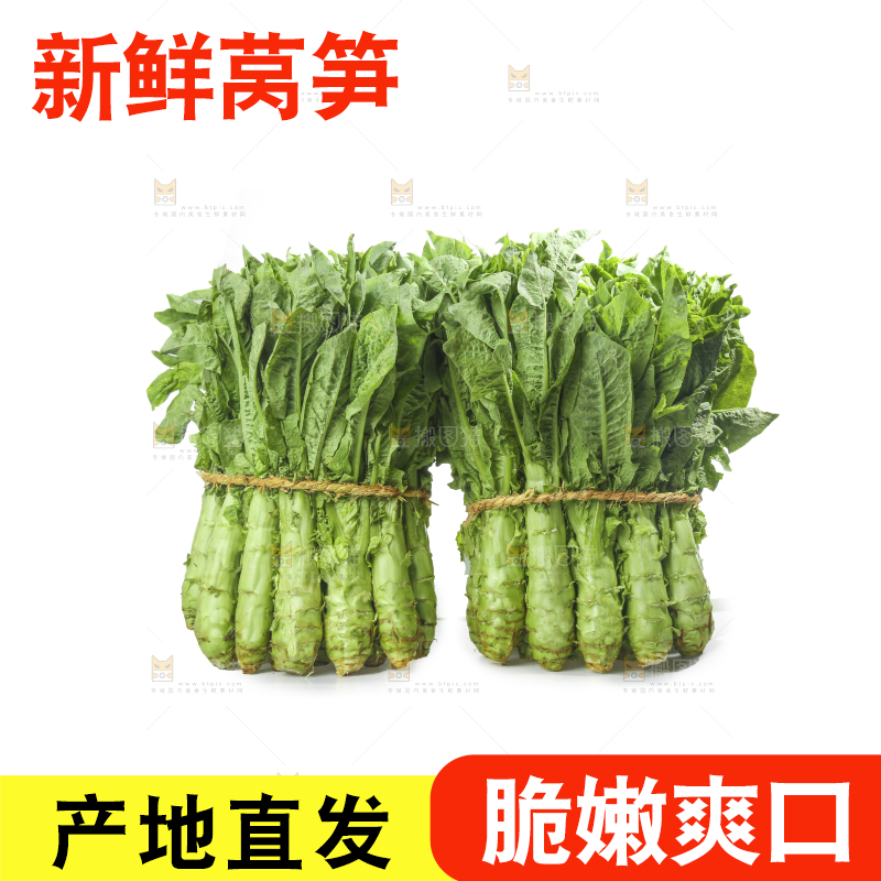白底上的新鲜莴笋