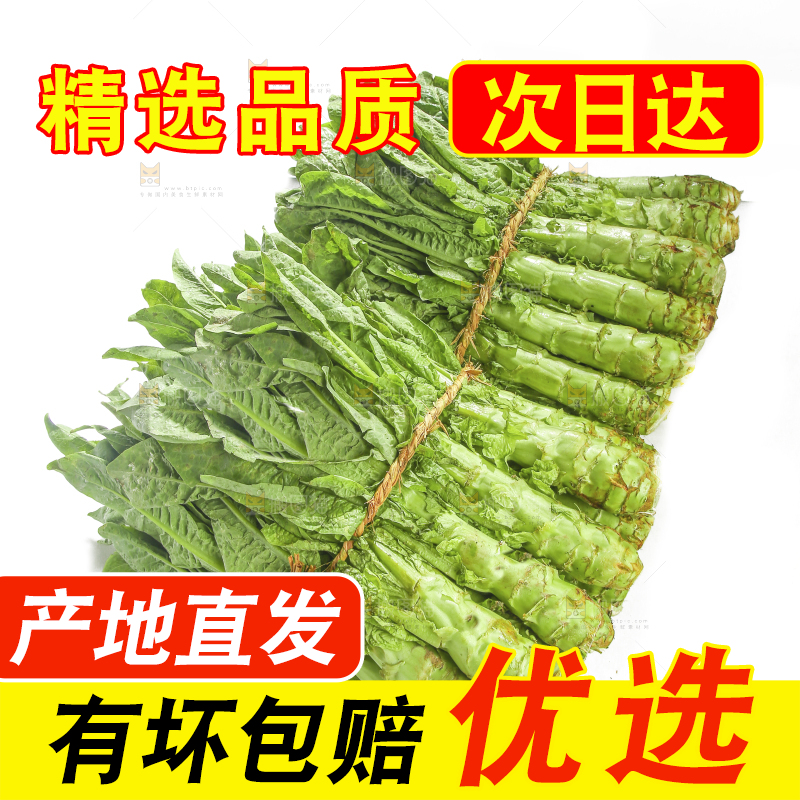 白底上的新鲜莴笋