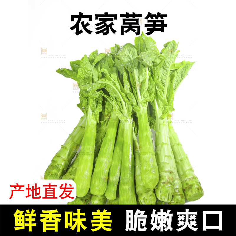 白底上的新鲜莴笋