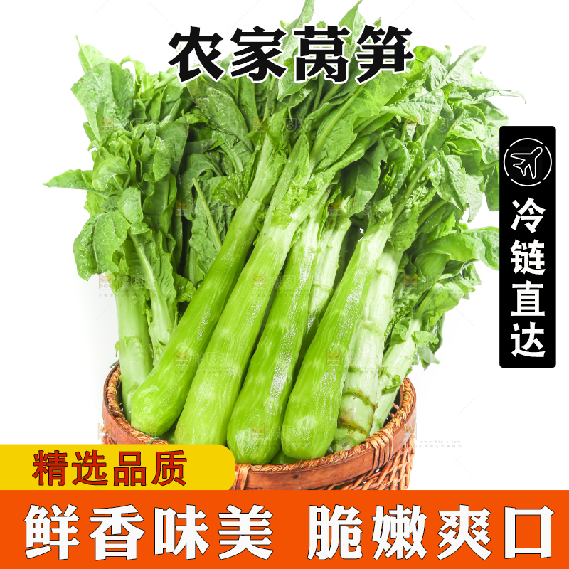 白底上的新鲜莴笋