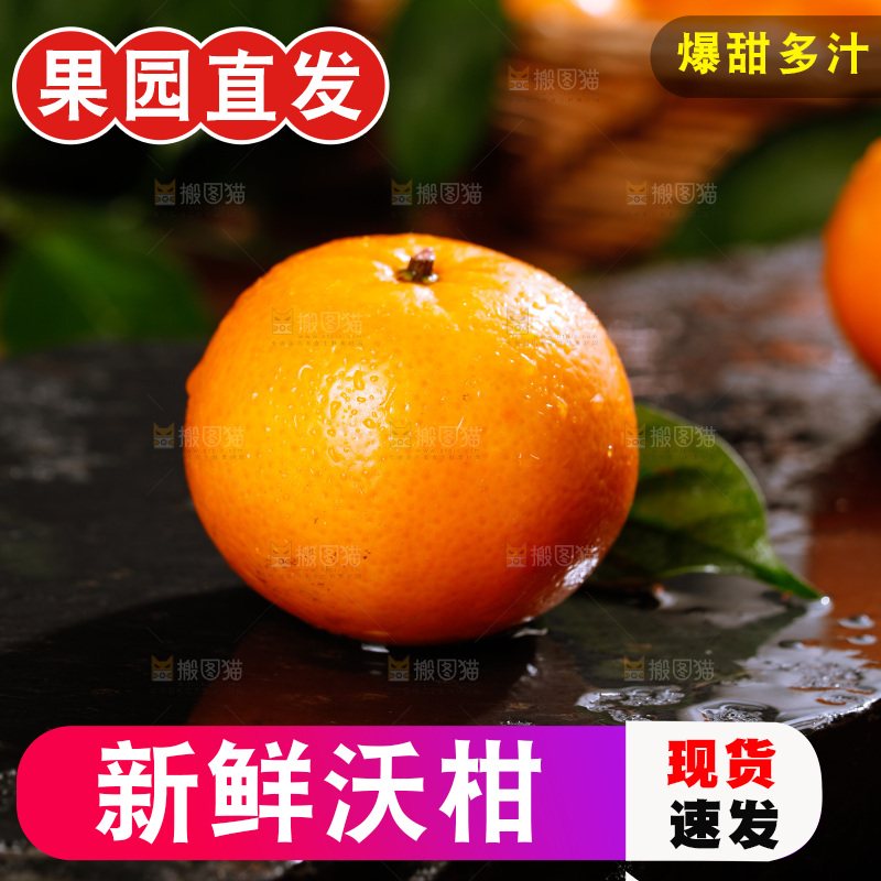 深底上的沃柑