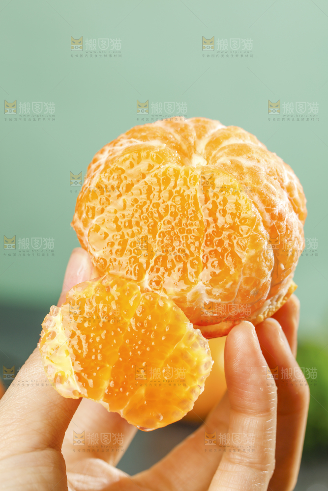 沃柑
