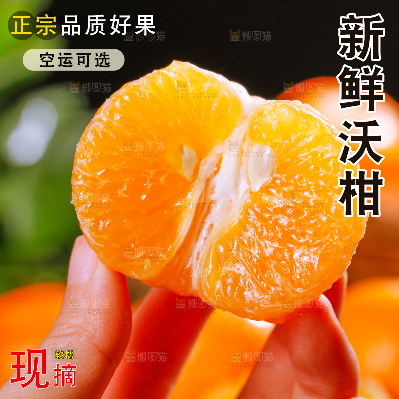 深底上的沃柑