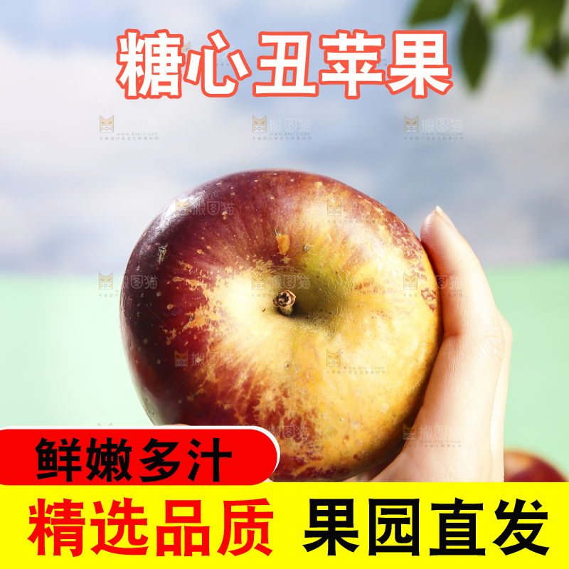 浅底上的昭通丑苹果