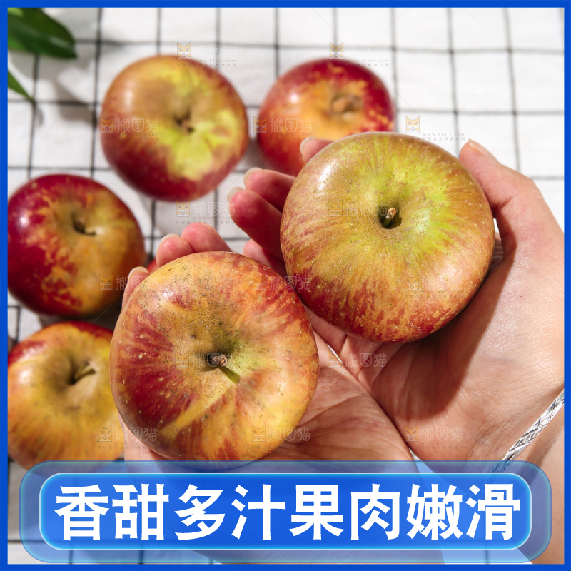 浅底上的昭通丑苹果