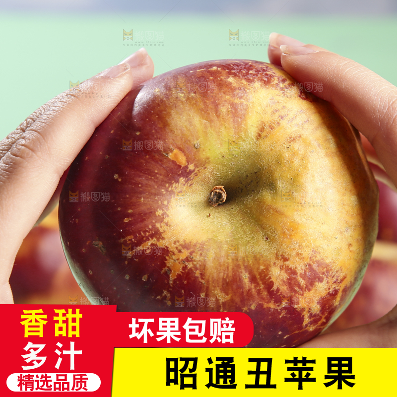浅底上的昭通丑苹果