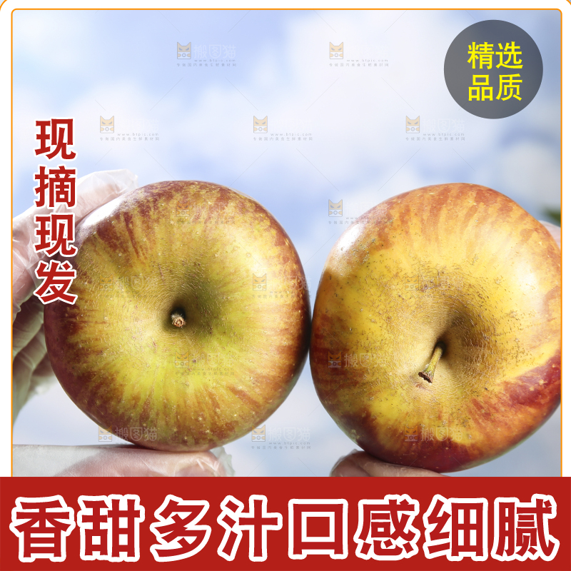 浅底上的昭通丑苹果