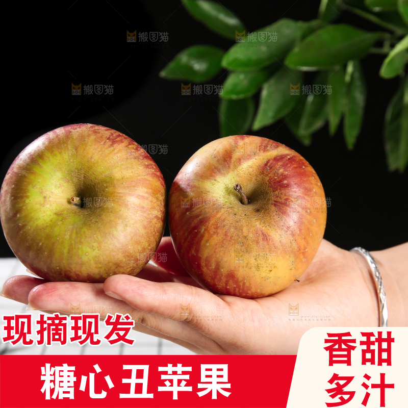 浅底上的昭通丑苹果