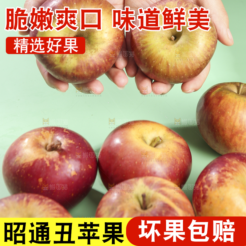 浅底上的昭通丑苹果