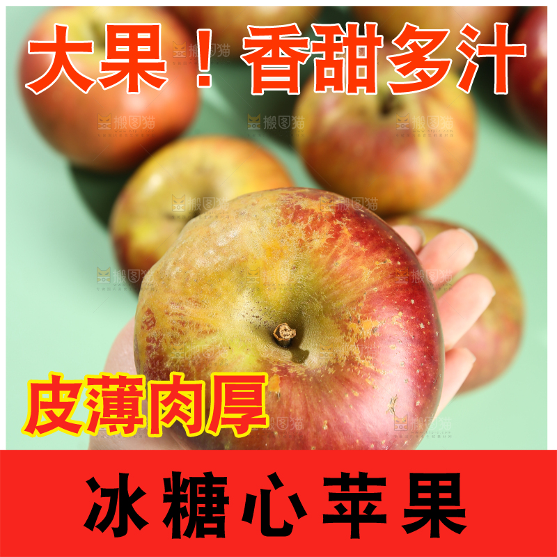 浅底上的昭通丑苹果