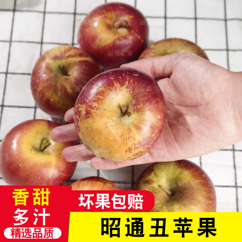 浅底上的昭通丑苹果