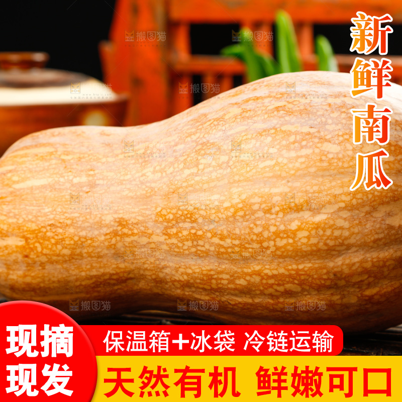 深底上的老南瓜
