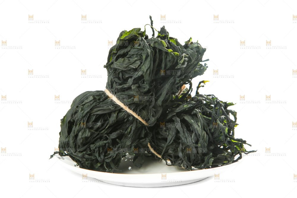 白底上的裙带菜