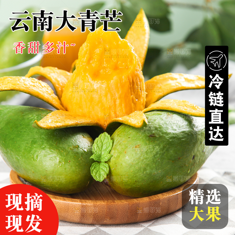 浅底上的新鲜大青芒