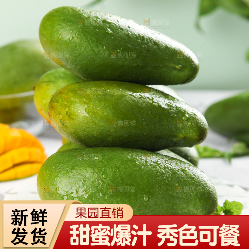 浅底上的新鲜大青芒