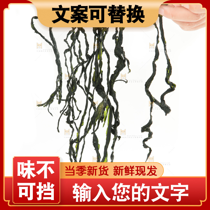 白底上的裙带菜