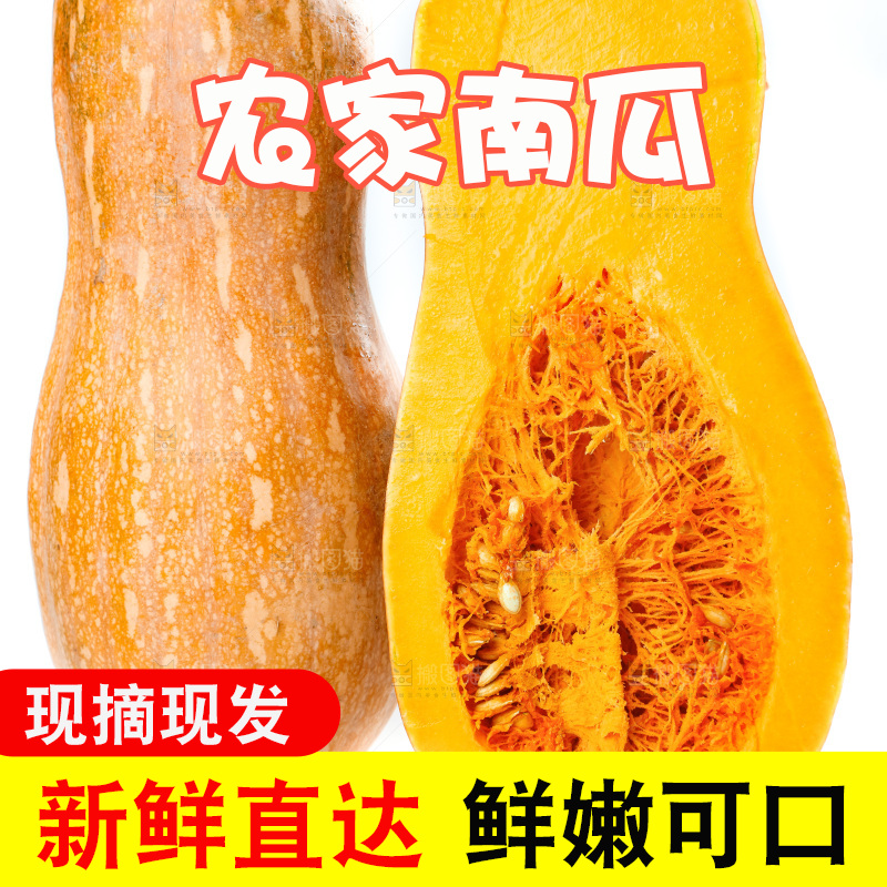 白底上的老南瓜