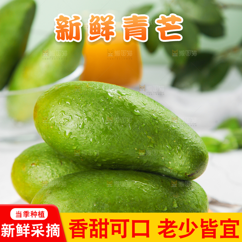 浅底上的新鲜大青芒