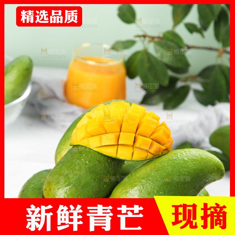 浅底上的新鲜大青芒