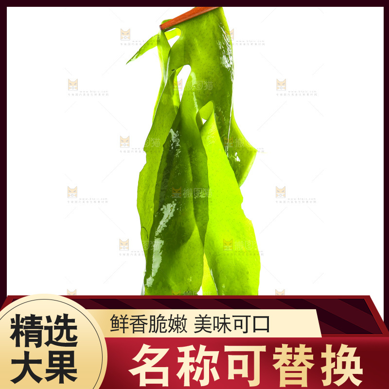 白底上的裙带菜